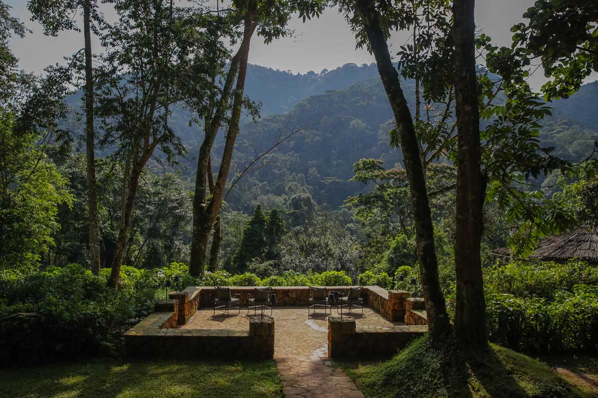 Volcanoes Safaris Bwindi Lodge featured in Forbes