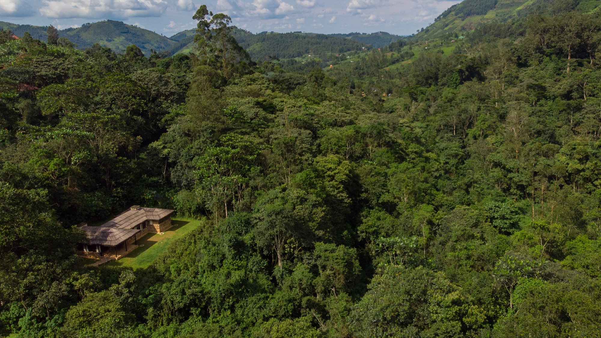 Bwindi Lodge Featured in The Telegraph