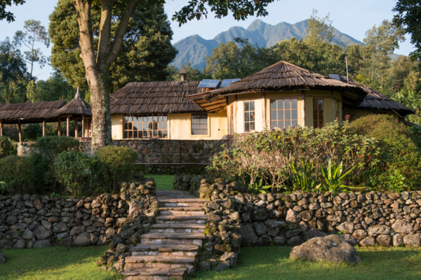 Last Minute Safari Offer